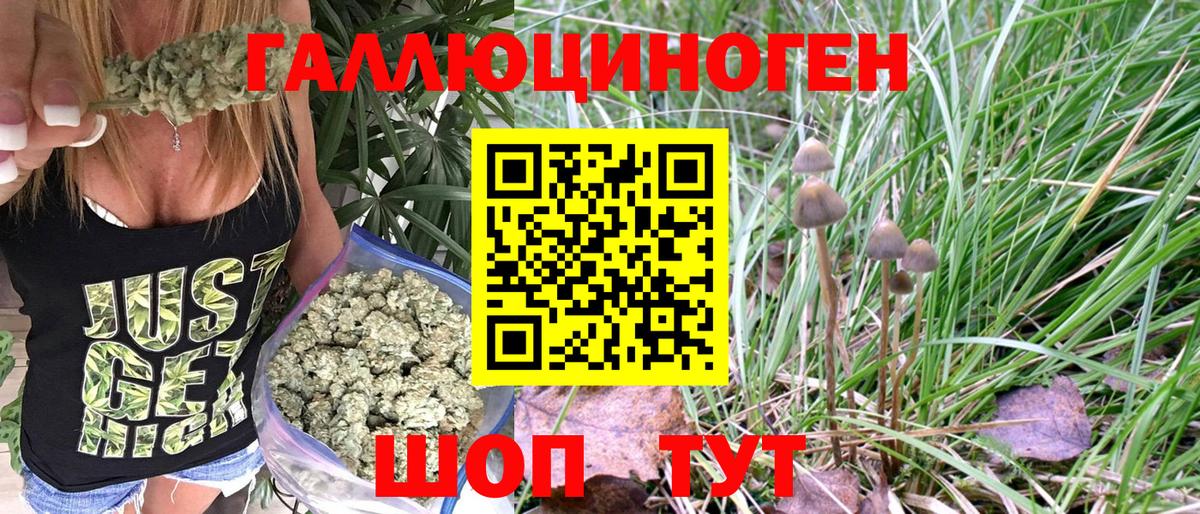 Сарапул  Псилоцибиновые грибы GOLDEN TEACHER  Галлюциногенные грибы Psilocybe  Вход с VPN 